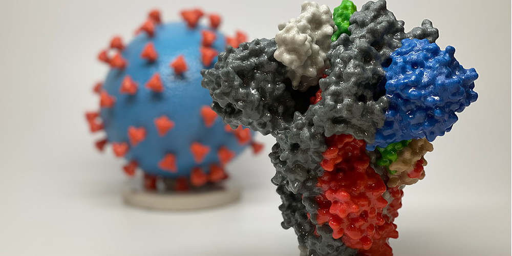 What does 'survival of the fittest' mean in the coronavirus pandemic