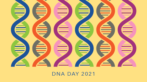 DNA and COVID-19: What’s the connection?