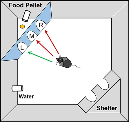 JLR-news-phenotyper-445x421.jpg JLR-news-phenotyper-445x421.jpg
