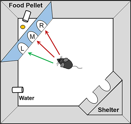 JLR-news-phenotyper-445x421.jpg