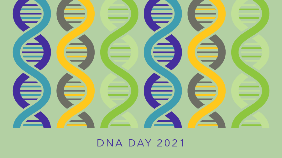 A celebration of our other genome: Mitochondrial DNA