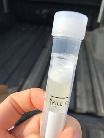 saliva-plus-buffer-445x593-1.jpg saliva-plus-buffer-445x593-1.jpg