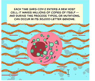 media_virus-mutation-comic-03-2-3.png media_virus-mutation-comic-03-2-3.png