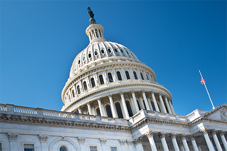 Policy-career-445x297.jpg Policy-career-445x297.jpg