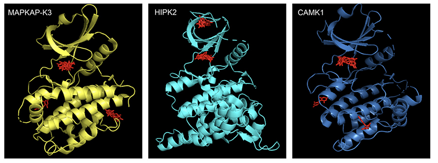 Saha-kinase-890x332.jpg Saha-kinase-890x332.jpg