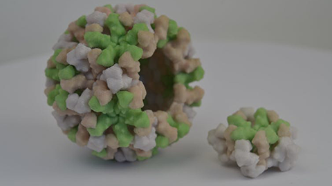 Your blood type may influence your vulnerability to the winter vomiting virus