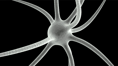 From the journals: MCP