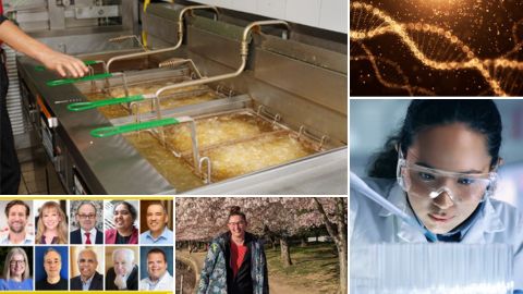 Our top 10 articles of 2024