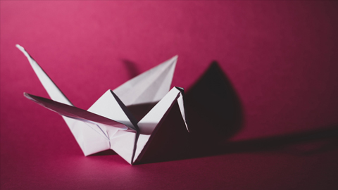 More thoughts on folding and form