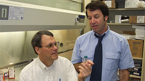 Researchers unravel mysteries of puzzling bacterial signals in our blood