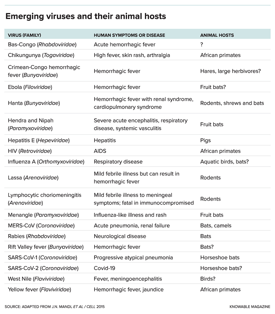 G-emerging-viruses-hosts-alt-890x1016-1.jpg G-emerging-viruses-hosts-alt-890x1016-1.jpg