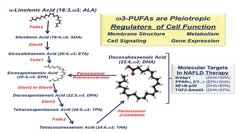 Chronic fatty liver disease