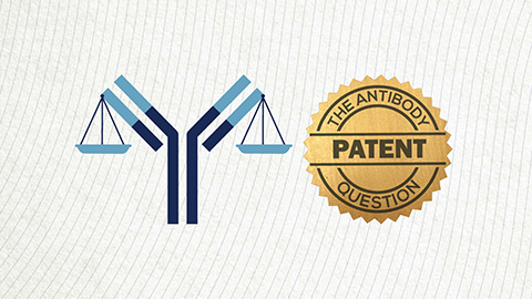 The antibody patent question
