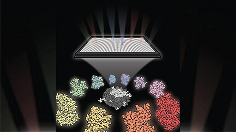 JBC: Scanning thousands of molecules against an elusive cancer target