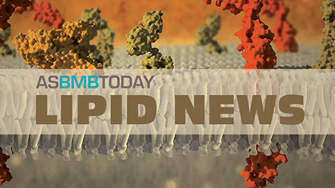 The promise of unknown unknowns