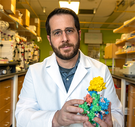 In a 2021 photo, Jason McLellan holds a 3D model of the SARS-CoV-2 spike protein.