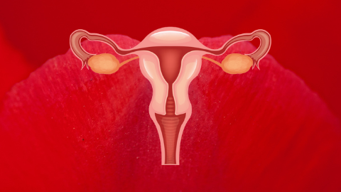 Why researchers are studying menstrual blood