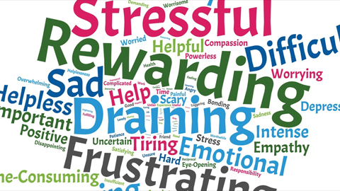 Mental health in academia: Shedding light on those who provide support
