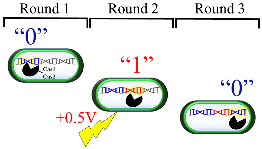 Schematic-890x507.jpg Schematic-890x507.jpg