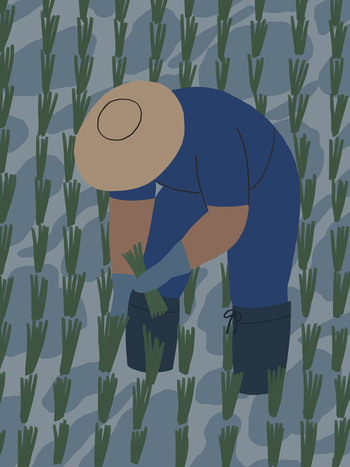Worker2-350x467.jpg Worker2-350x467.jpg