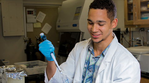 ‘Traffic jam’ discovery in yeast could lead to new disease treatments