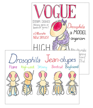 DrosophilaVogue-Sticker1-jpeg-300x347-1.jpg
