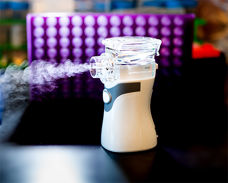 AreoNabs-445x357.jpg AreoNabs-445x357.jpg