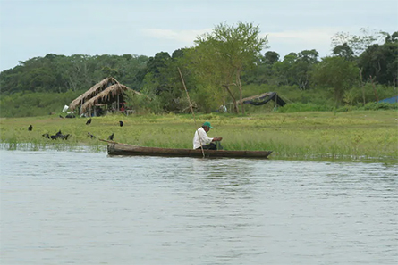 Pucallpa-Peru-445x297.jpg Pucallpa-Peru-445x297.jpg