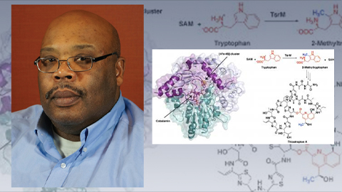 Synthesis of potent antibiotic follows unusual chemical pathway
