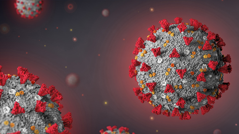 COVID-19 vaccines focus on the spike protein, but there’s another target