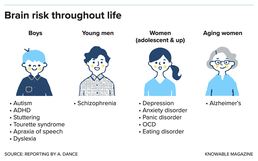 Sex influences neurodiversity and rates of mental disorders throughout life. Boys and young men face elevated risk for several conditions. During and after adolescence, the risk for several other conditions is higher in females.