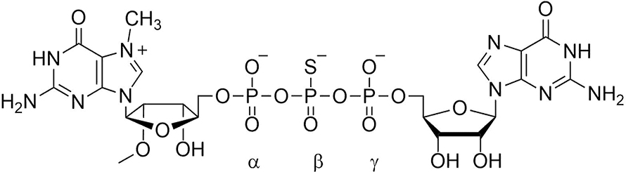 RNA-Figure2-890x245.jpg RNA-Figure2-890x245.jpg
