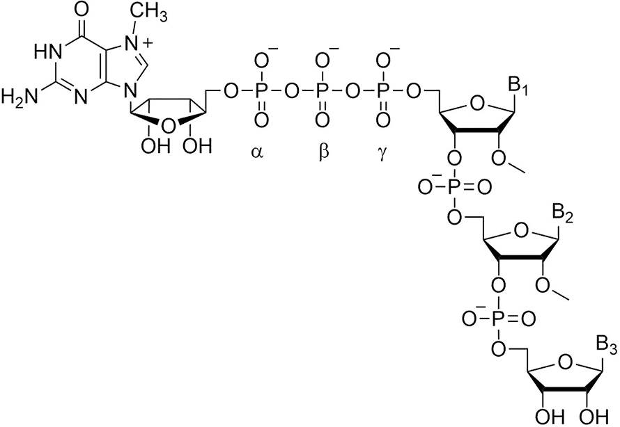 RNA-Figure1-890x614.jpg RNA-Figure1-890x614.jpg