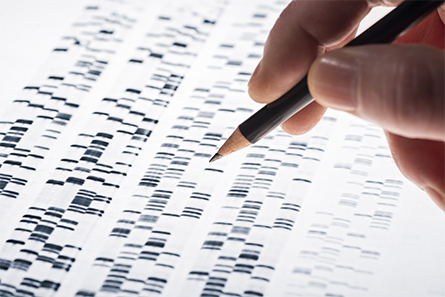 Gene-screenings-445x297.jpg Gene-screenings-445x297.jpg