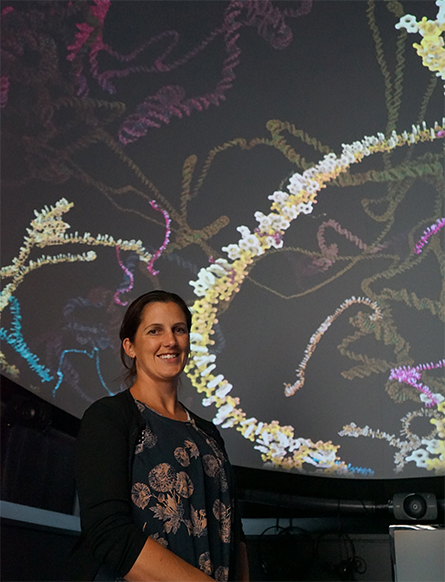 RNA-Transcription-445x582.jpg