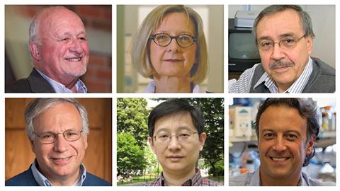 Members win Biophysical Society awards; Wei, DiMaio and Toker receive NCI grants