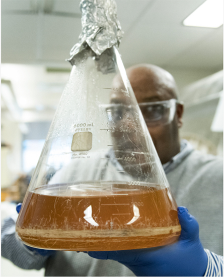 Beaker-445x549.jpg Beaker-445x549.jpg