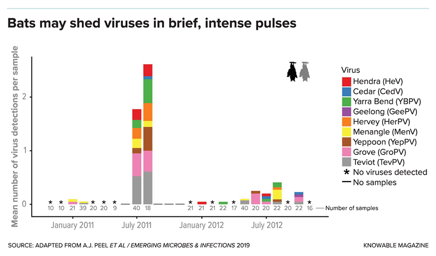 G-bats-shed-viruses-alt-890x523.jpg G-bats-shed-viruses-alt-890x523.jpg