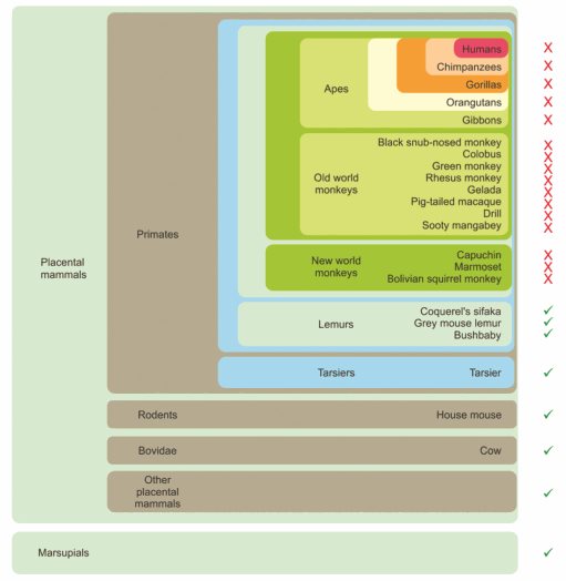 CD23-evolution.jpg CD23-evolution.jpg