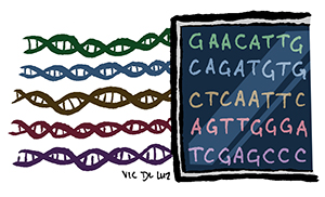 Next-Gen-Sequencing-300x182.jpg