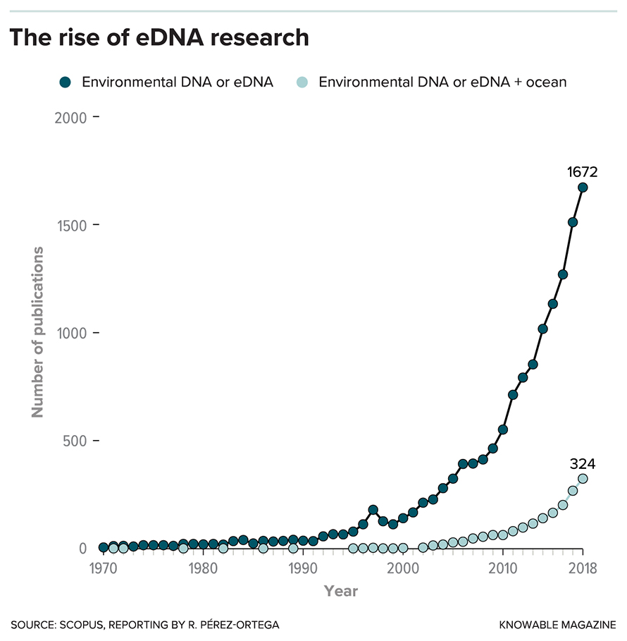 G-rise-of-edna-research-890x909.jpg