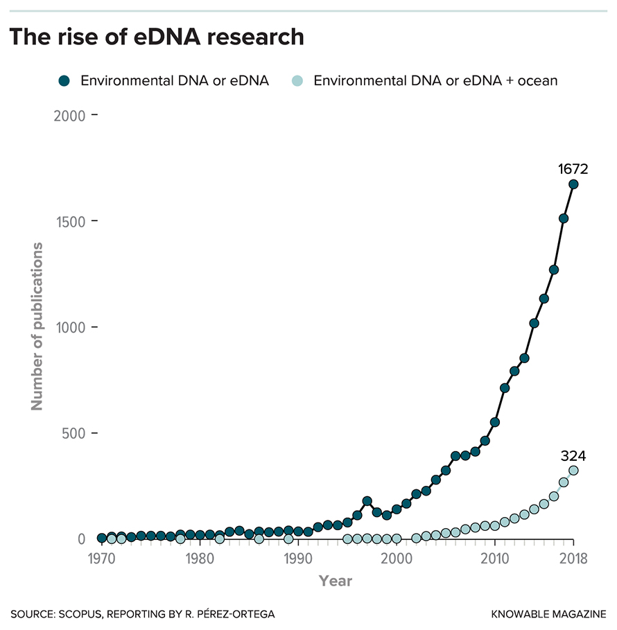 G-rise-of-edna-research-890x909.jpg G-rise-of-edna-research-890x909.jpg