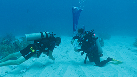 Searching for drugs on the ocean floor