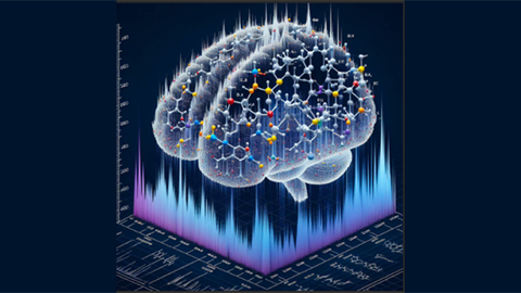 A proteomic hunt for phosphosites in the aging brain