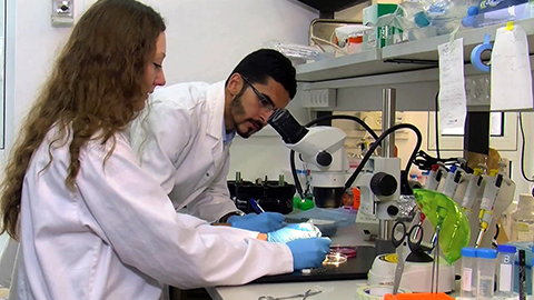 A small STEP toward peace