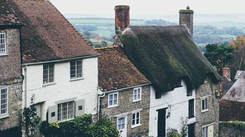 Reminiscing scientist