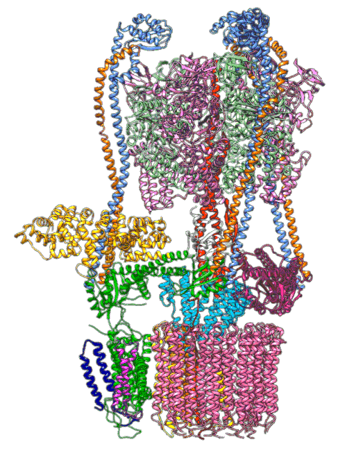 rotary_proton_sv_pump_anim_final.gif rotary_proton_sv_pump_anim_final.gif