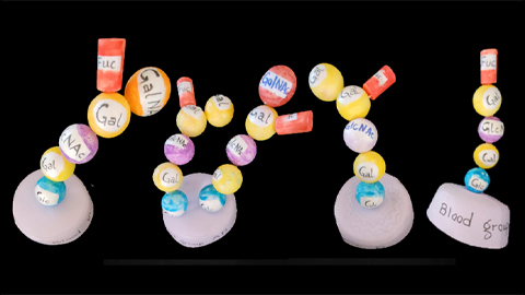 Beyond basics in blood