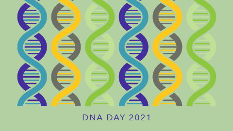 A celebration of our other genome: Mitochondrial DNA