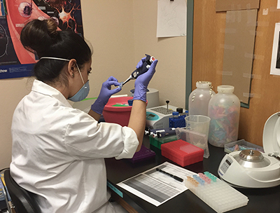Marya-Sabir_Lab-400x304.jpg Marya-Sabir_Lab-400x304.jpg